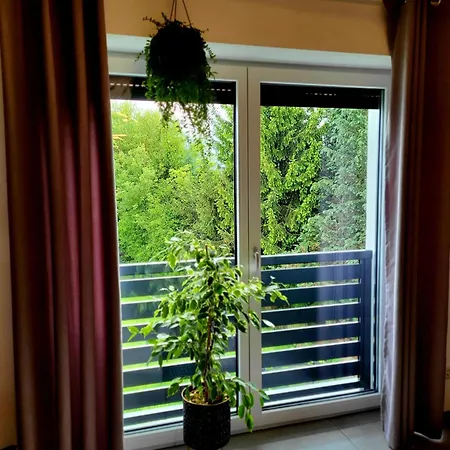 Apartment Gemuetliche Fuer Max 4 Personen